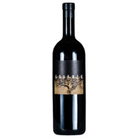 Gravner 2008