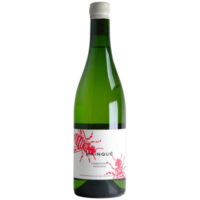 Bodega Chacra Mainque 2017