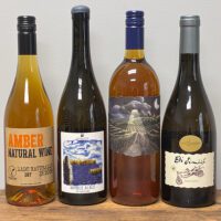 Eastern Europe Orange #2