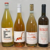 North Italy Orange #1