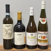 South Italy Orange #2