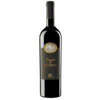 T. Ricci 2011